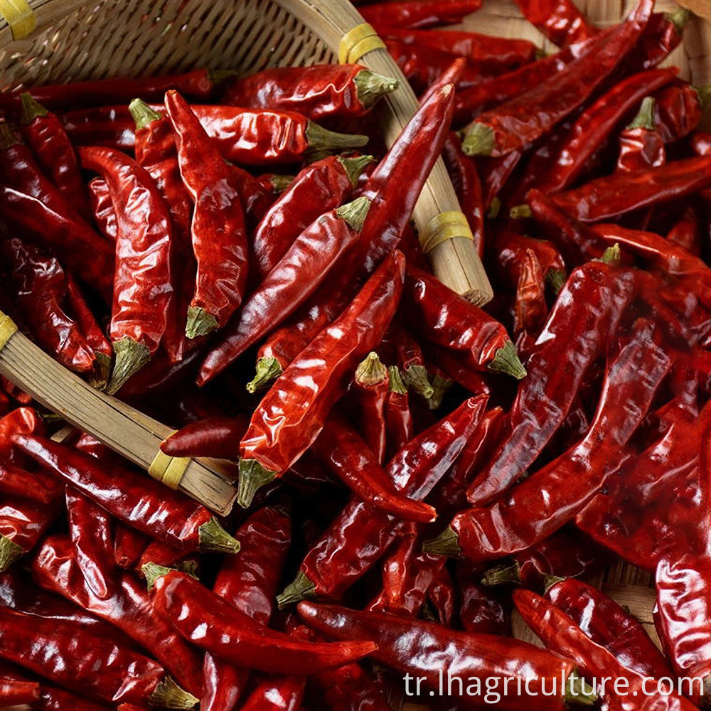 Millet Pepper Wholesale